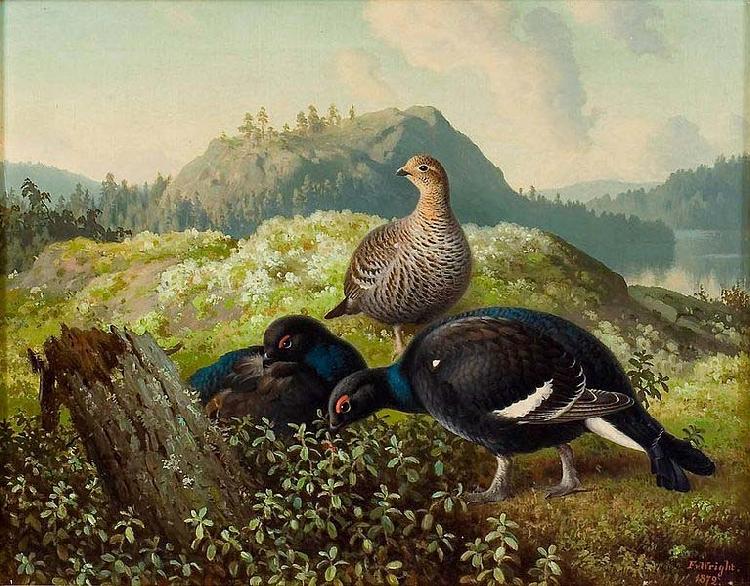 Ferdinand von Wright Black Grouses Norge oil painting art
